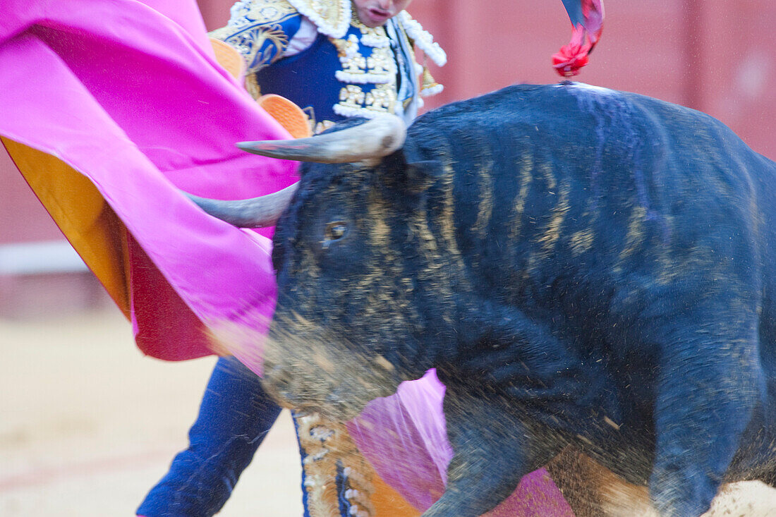 Seville, Spain, Aug 15 2008, Fernández Pineda skillfully welcomes the bull with a cape at the Real Maestranza in Sevilla, showcasing traditional bullfighting.