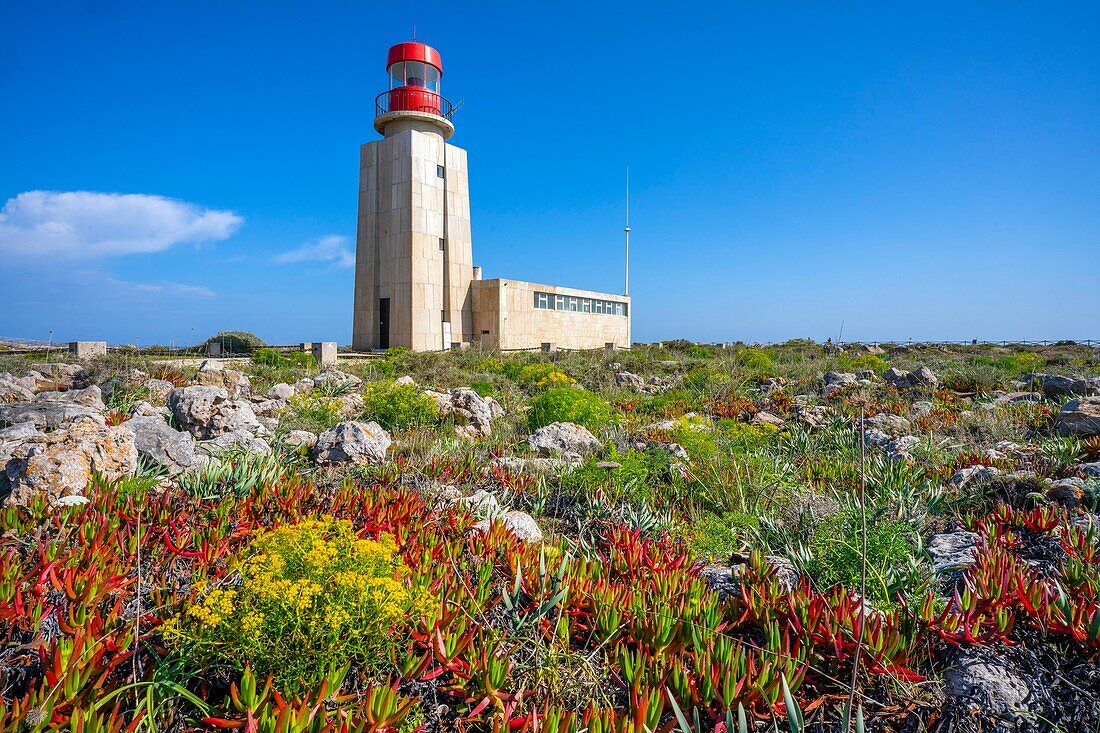 Leuchtturm von Ponta de Sagres, Sagres, Algarve, Portugal, Europa