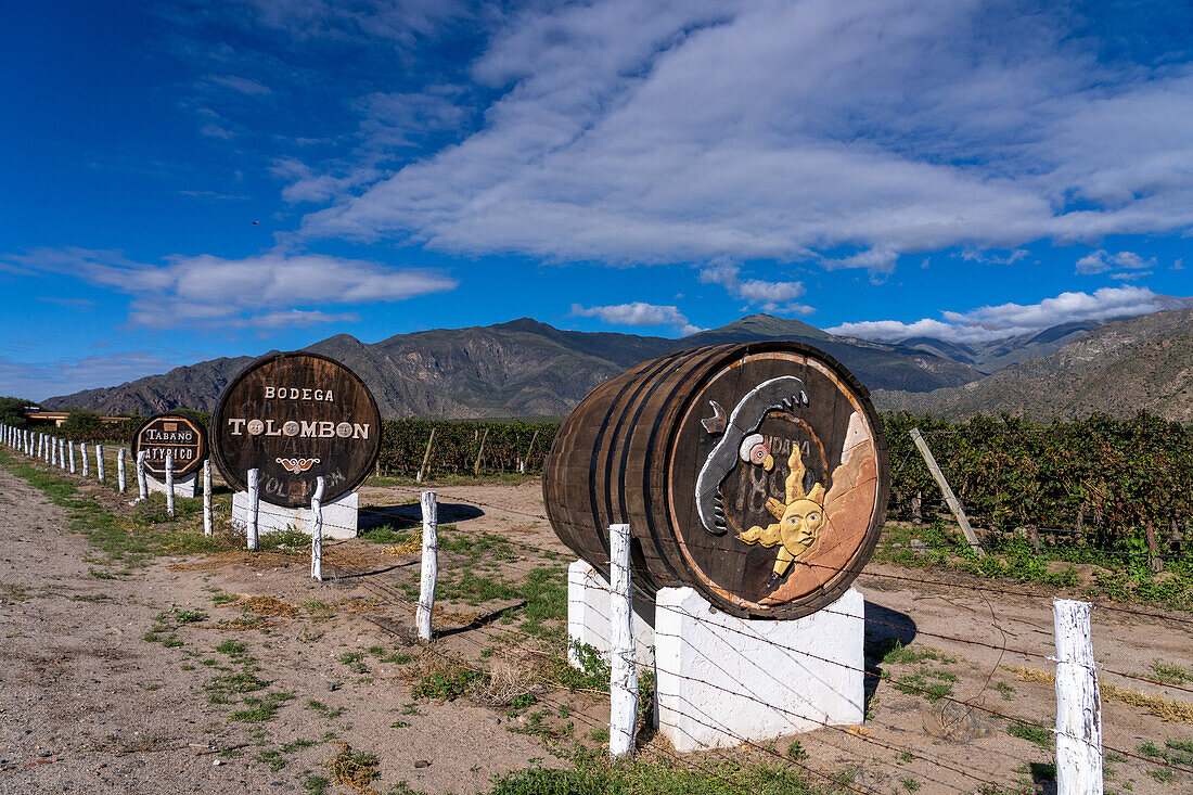 Dekorierte Weinfässer auf dem Weingut und Weinberg Bodega Tolombon in Cafayate, Argentinien