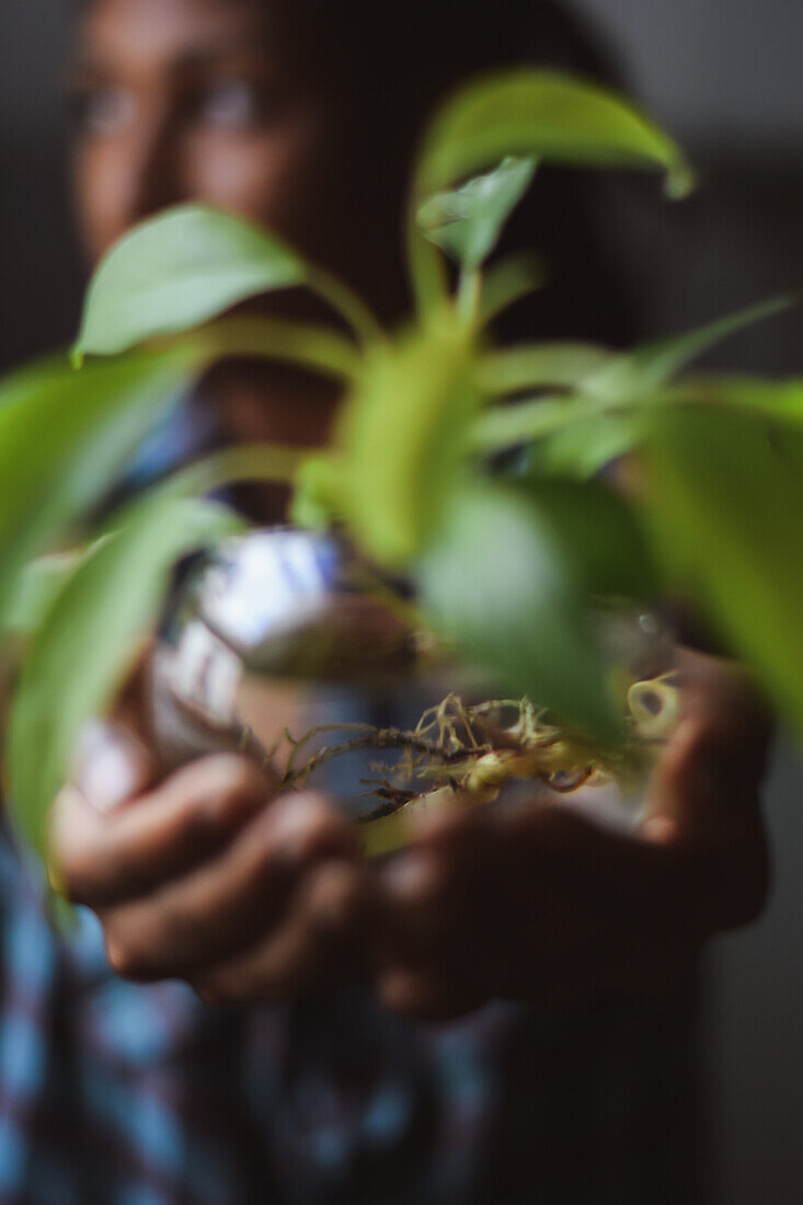 Young afro latin woman gardening and holding an hydroponic plant