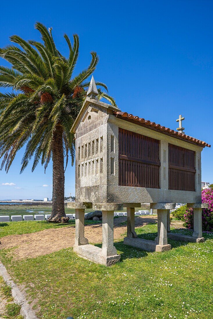 Galician granary, Cambados, Pontevedra, Galicia, Spain, Europe