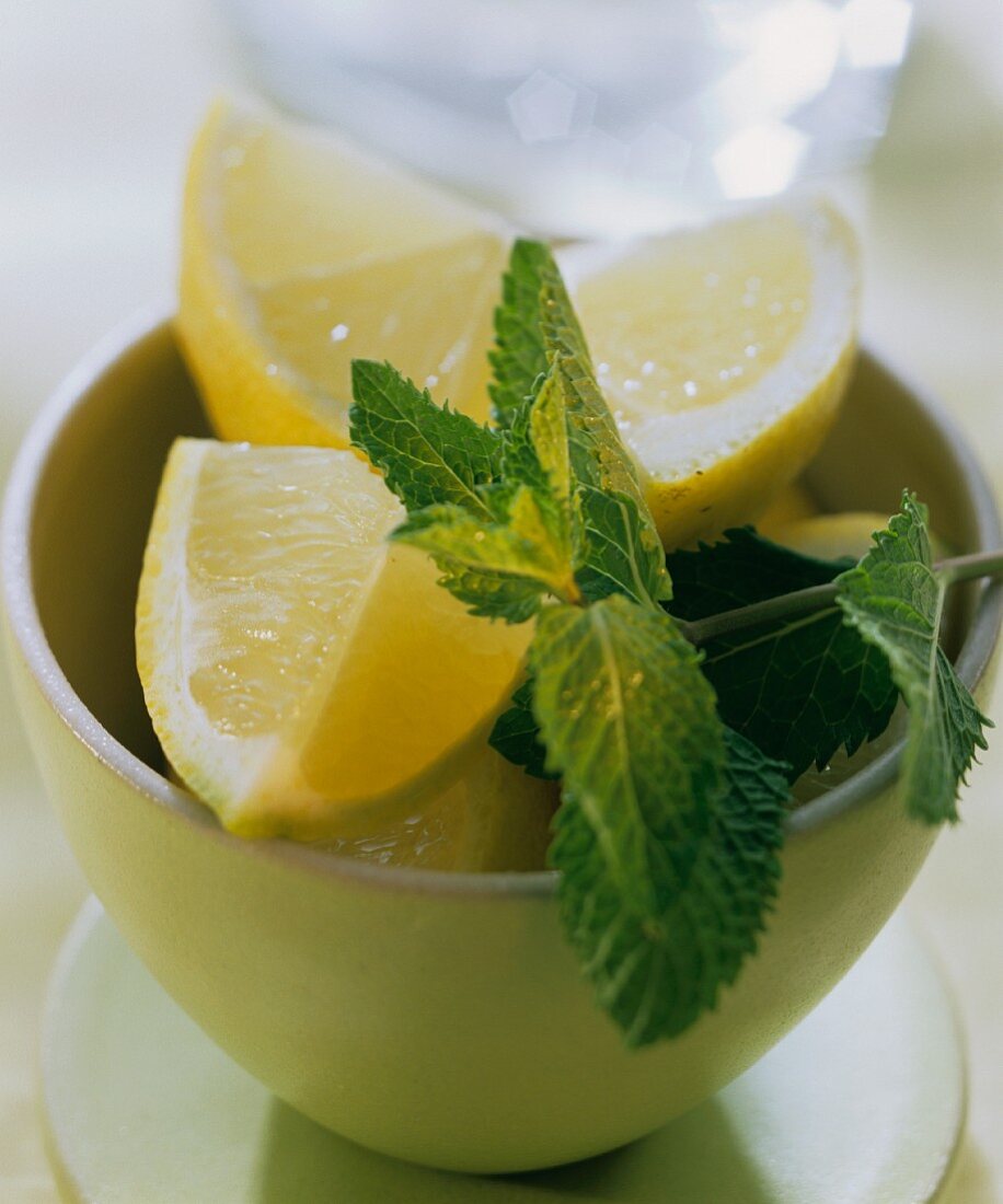 Zitronenschnitze & ein Zweig Zitronenmelisse im Schälchen