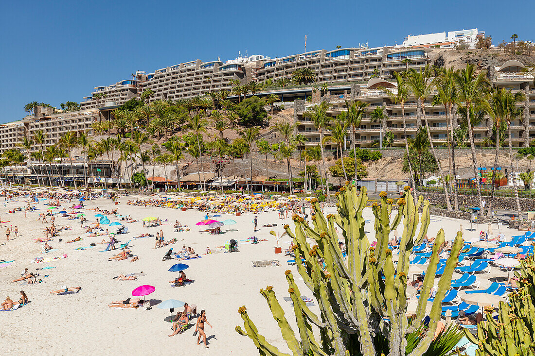 Anfi del Mar, Playa de la Verga, Arguineguin, Gran Canaria, Canary Islands, Spain, Atlantic, Europe