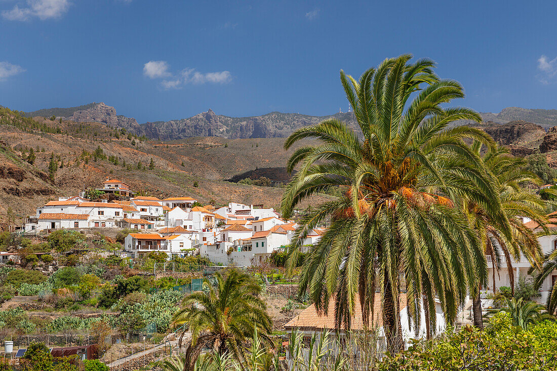 Fataga, Gran Canaria, Kanarische Inseln, Spanien, Atlantik, Europa