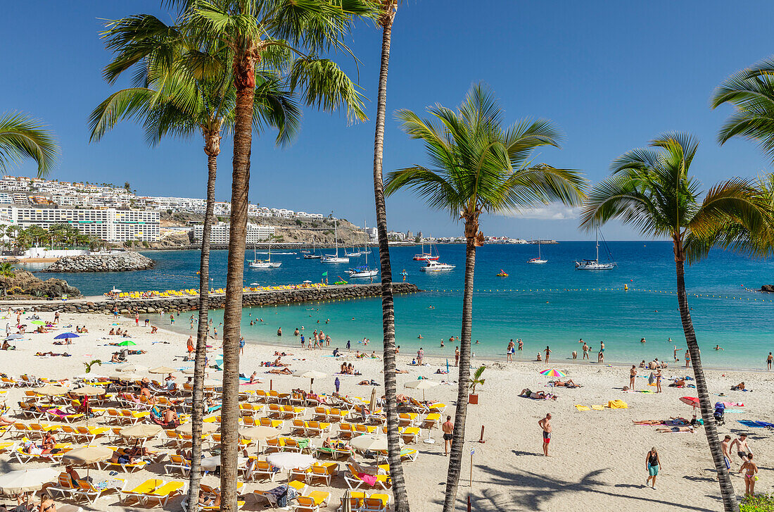 Anfi del Mar, Playa de la Verga, Arguineguin, Gran Canaria, Canary Islands, Spain, Atlantic, Europe