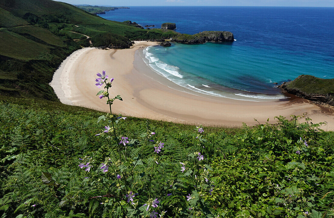 Playa de Torimbia, Asturien, Spanien, Europa