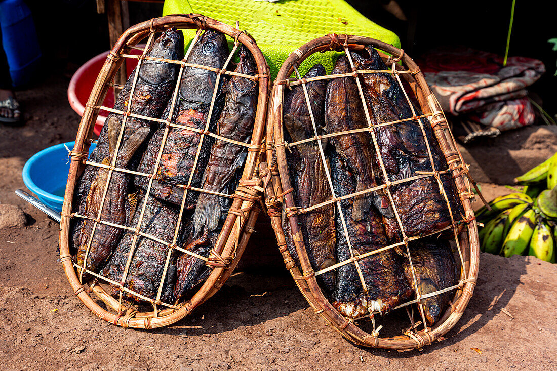 Dry fish for sale on a Market, Mbandaka, Equateur province, Democratic Republic of Congo, Africa