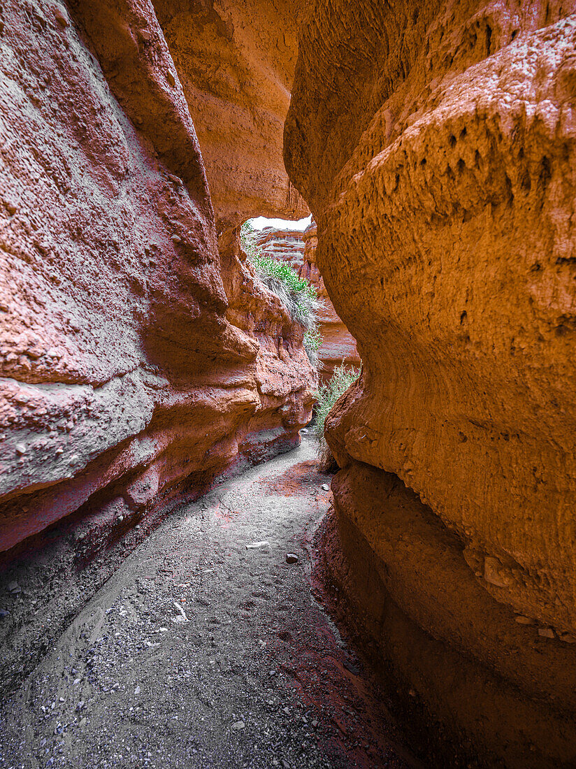 Majestic red rock walls in Kok-Moinok Canyon, Kyrgyzstan, Central Asia, Asia