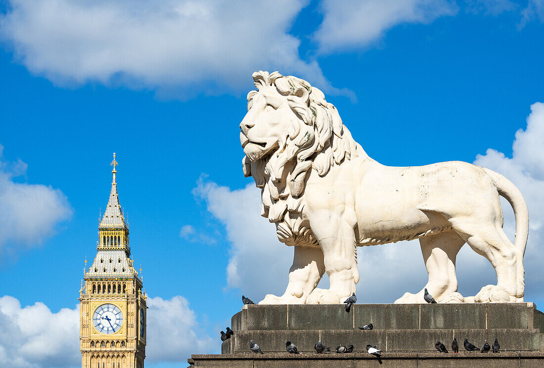 Der South Bank Lion auf der Westminster Bridge, gegossen 1837, mit Big Ben (The Elizabeth Tower) des Palace of Westminster im Hintergrund, London, England, Vereinigtes Königreich, Europa