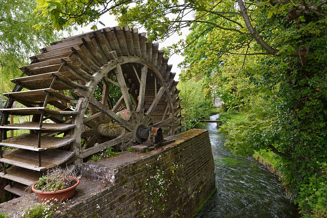 Moulin Anquetil by the Veules River, the smallest river in France, 1149 m, Veules-les-Roses, Seine-Maritime department, Normandy region, France