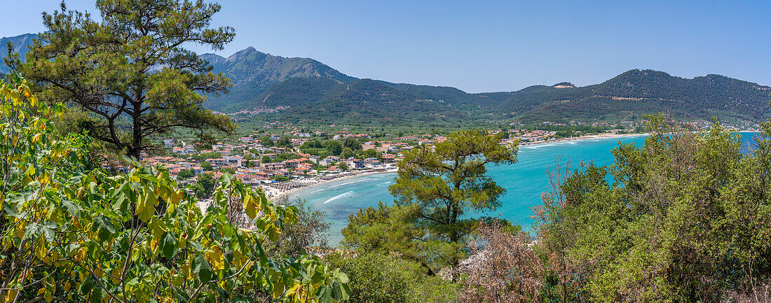 View of trees and Golden Beach at Chrysi Ammoudia, Thassos, Aegean Sea, Greek Islands, Greece, Europe