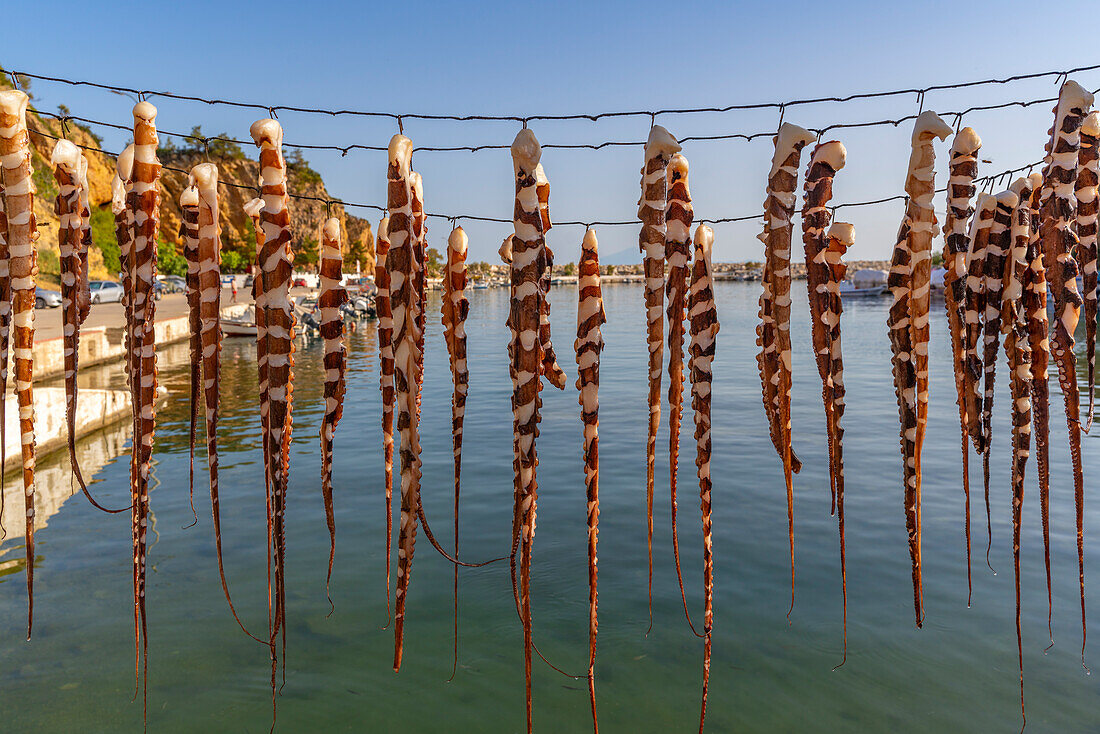 Blick auf Tintenfisch an einer Leine im Hafen von Limenaria, Limenaria, Thassos, Ägäisches Meer, Griechische Inseln, Griechenland, Europa