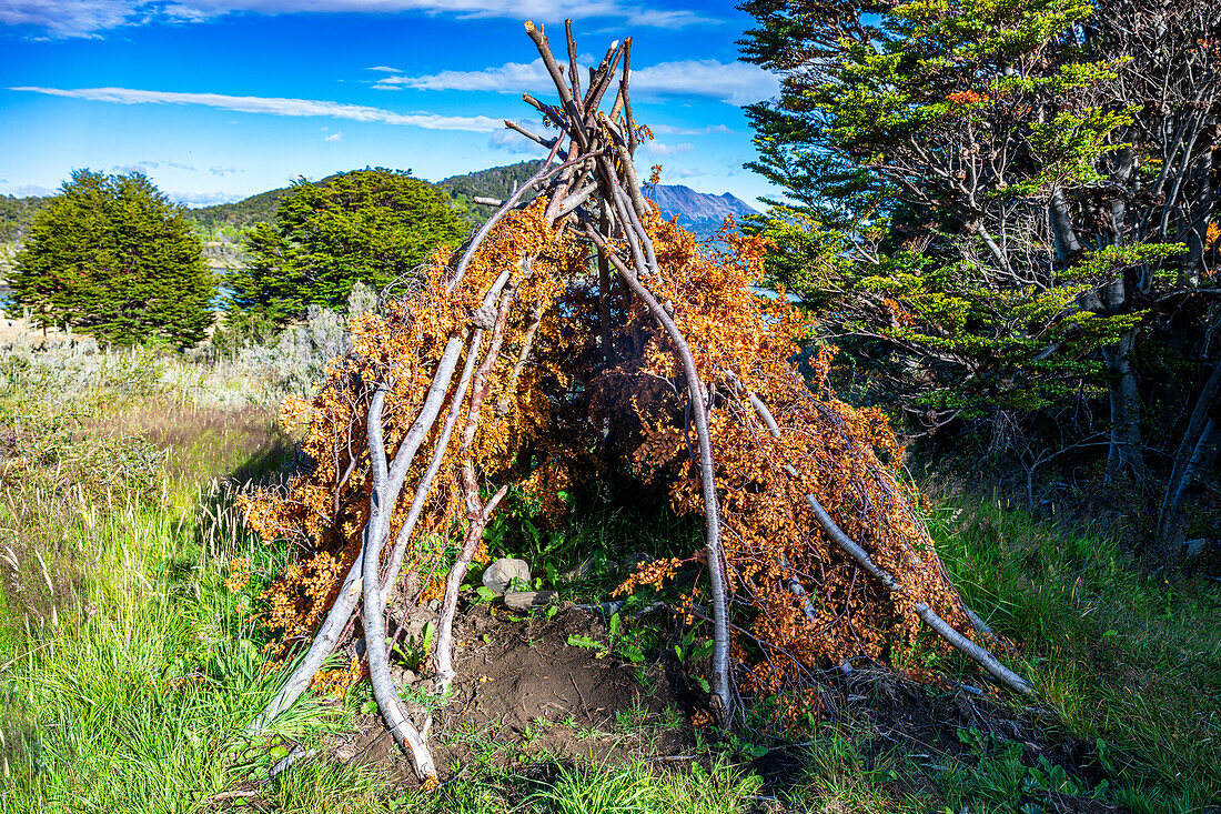 Remodel of a traditional housing, Wulaia Bay, Tierra del Fuego, Chile, South America