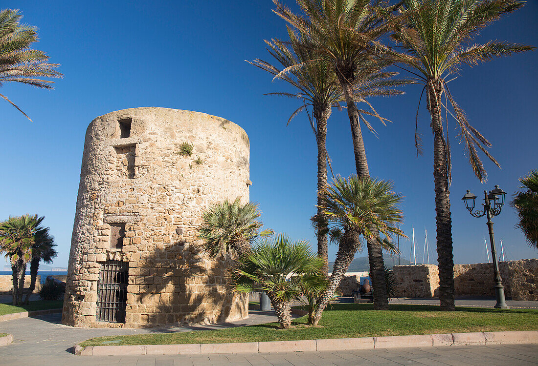 The palm-fringed Torre della Polveriera, a historic stone watchtower in Piazza della Juharia atop the Old Town walls, Alghero, Sassari, Sardinia, Italy, Mediterranean, Europe