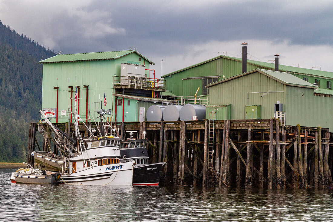 Ansichten von der Fischerstadt Petersburg auf Mitkof Island, Südost-Alaska, Pazifischer Ozean, Vereinigte Staaten von Amerika, Nordamerika