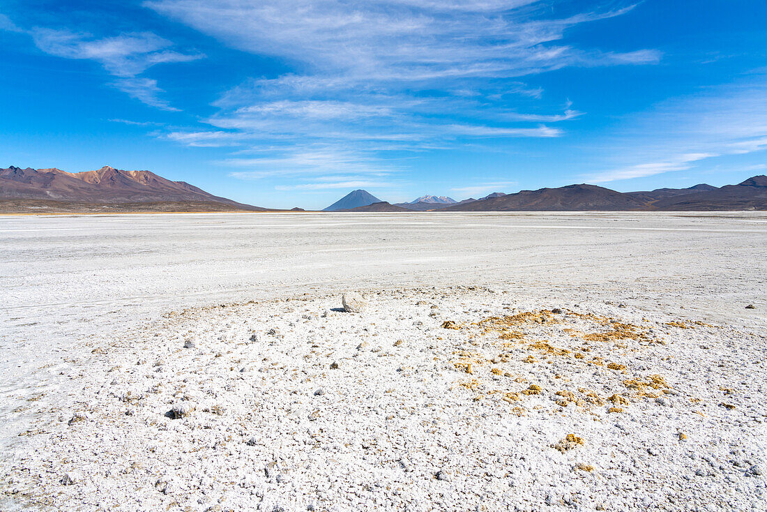 Salt flats and distant views of Pichu Pichu, El Misti and Chachani volcanoes, Salinas y Aguada Blanca National Reserve, Arequipa Province, Arequipa Region, Peru, South America