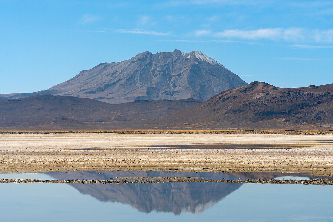 Der Vulkan Ubinas spiegelt sich in einem Tümpel in den Salinen, Nationalreservat Salinas y Aguada Blanca, Provinz Arequipa, Region Arequipa, Peru, Südamerika