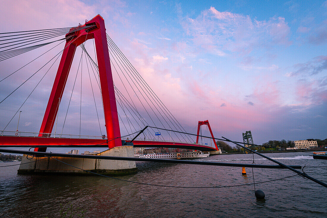 Willemsbrug red modern suspension bridge at sunset with a pink sky on a summer evening, Rotterdam, The Netherlands, Europe