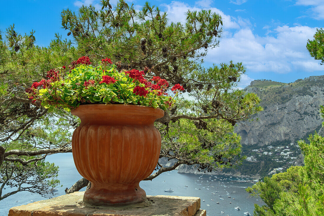 Ein Terrakotta-Topf mit leuchtend roten Blumen überblickt eine malerische Küstenlandschaft mit Booten auf dem Wasser und felsigen Klippen im Hintergrund auf der Insel Capri, Golf von Neapel, Kampanien, Italien, Europa