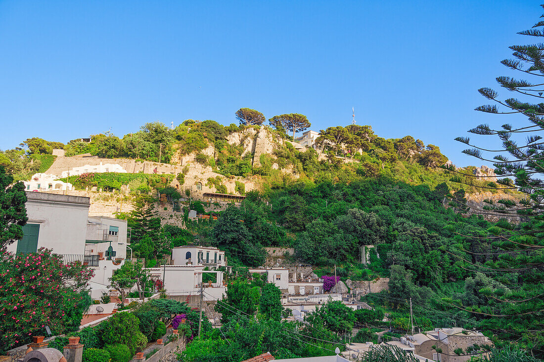 Von Grün umgebene Hügelhäuser oberhalb von Marina Picola auf der Insel Capri, Golf von Neapel, Kampanien, Italien, Europa