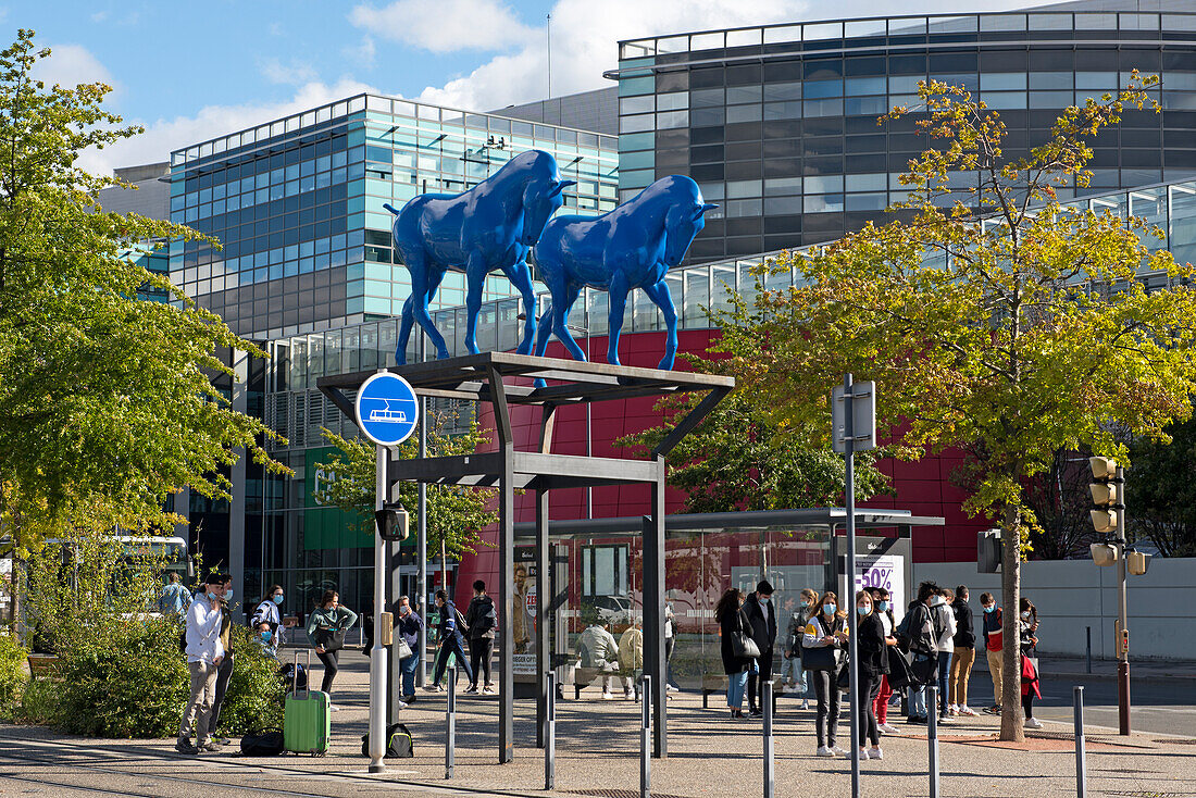 The Blue Horse of the artist Assan Smati, overlooking the tram line between the train station and the Ilot Poste-Weiss, Architects ECDM, Chateaucreux district, Saint-Etienne, Loire department, Auvergne-Rhone-Alpes region, France, Europe