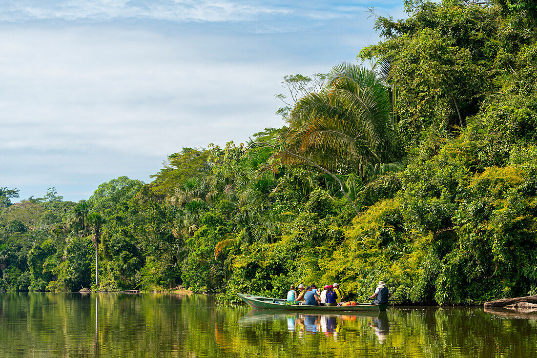 Tourists on excursion over Lake Sandoval against green trees, Tambopata National Reserve, Puerto Maldonado, Madre de Dios, Peru, South America