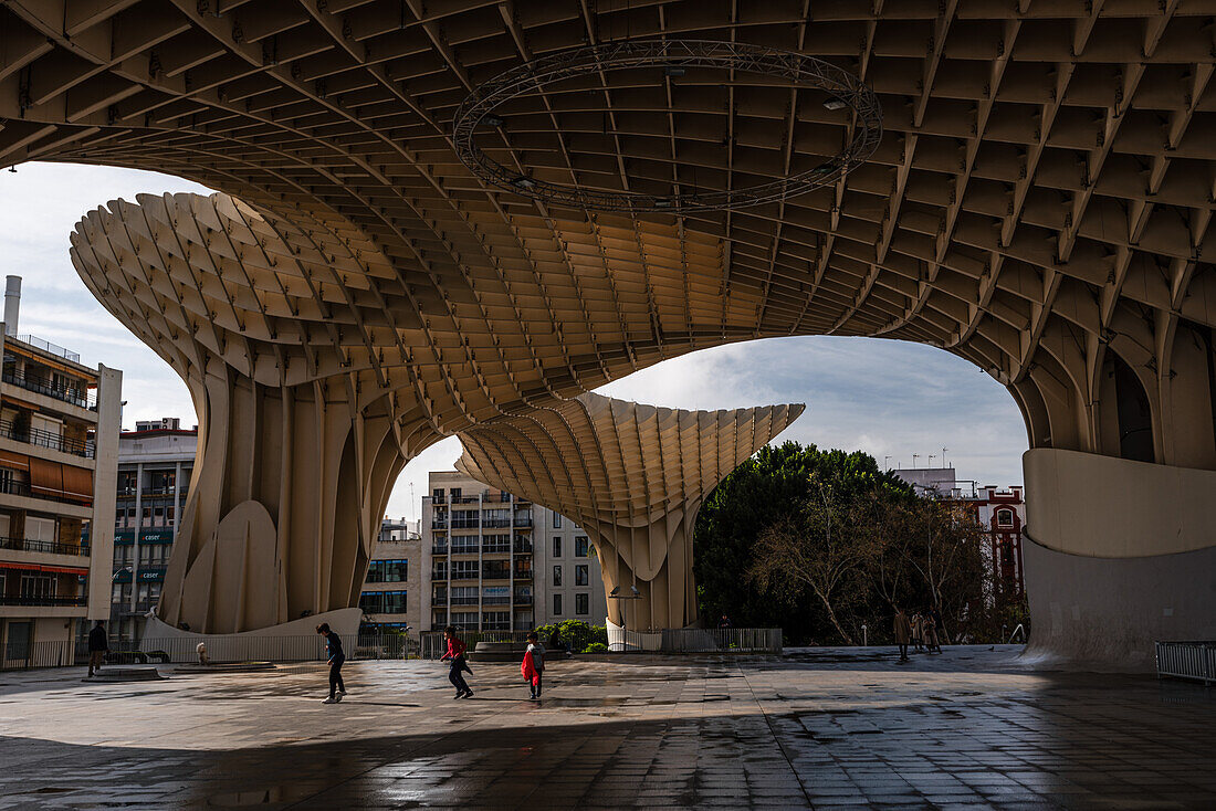 Setas de Seville Metropol Parasol, Modern wooden architecture, Seville, Andalusia, Spain, Europe