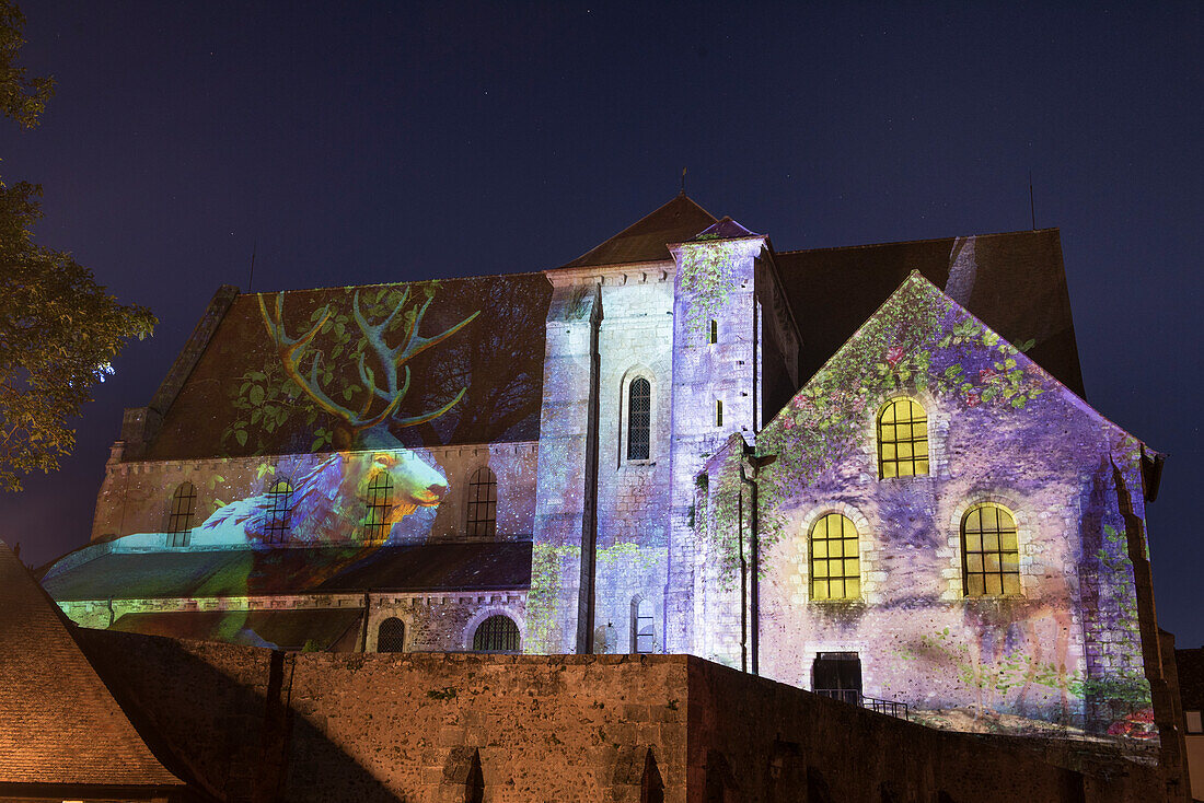 Lichter an der Stiftskirche Saint-Andre, künstlerische Gestaltung durch Fauna und Flora, Vom Herbarium zum Bestiarium, M2 Creative, Stadt Chartres, Departement Eure-et-Loir, Region Centre-Val-de-Loire, Frankreich, Europa