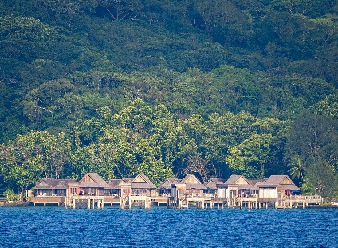 Example of the thick foliage near a tourist resort, Palau, Micronesia, Pacific