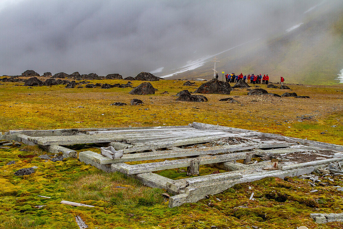 Lindblad Expeditions guests explore Cape Flora on Northbrook Island in Franz Josef Land, Russia, Arctic Ocean, Eurasia