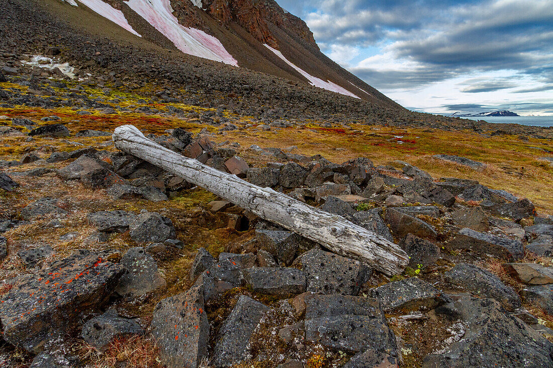 The remains of the camp where Fridtjof Nansen over-wintered with Hjalmar Johansen in 1895-96, Franz Josef Land, Russia, Arctic Ocean, Eurasia