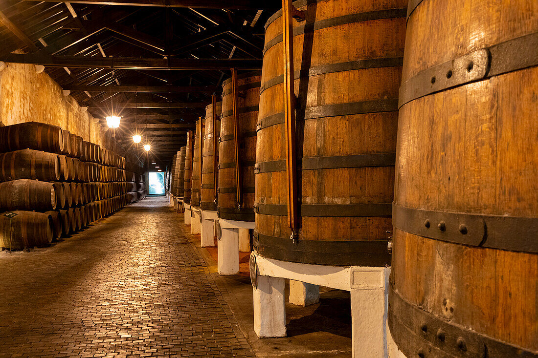 Port Cellars at Porto Ferreira, Porto, Norte, Portugal, Europe