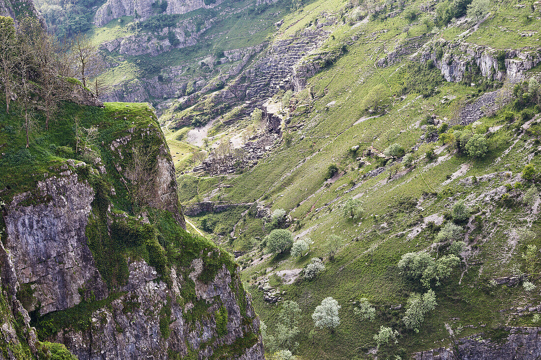 Ein Blick über die Klippen der Cheddar-Schlucht, von der Südseite aus gesehen, Cheddar, Somerset, England, Vereinigtes Königreich, Europa