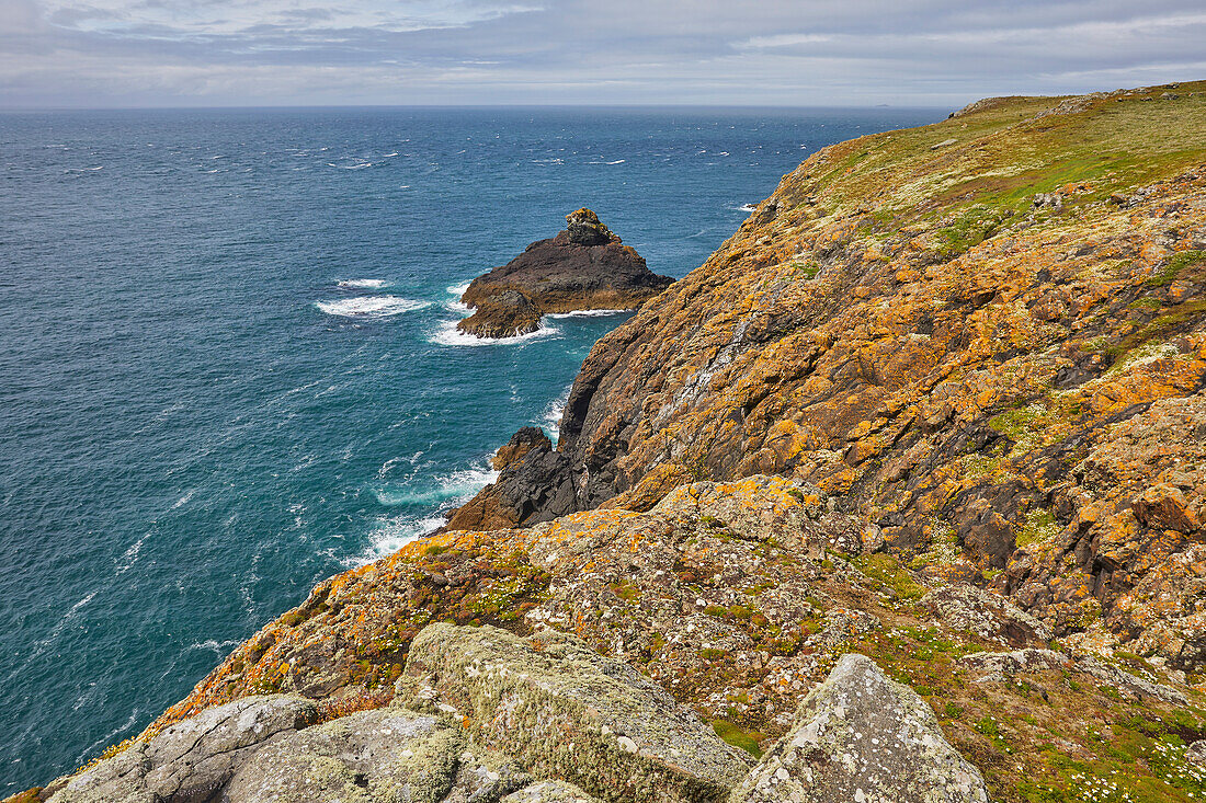 Die Klippen am Skomer Head, an der Westküste der Insel Skomer, einem Naturschutzgebiet an der Küste von Pembrokeshire, Wales, Vereinigtes Königreich, Europa