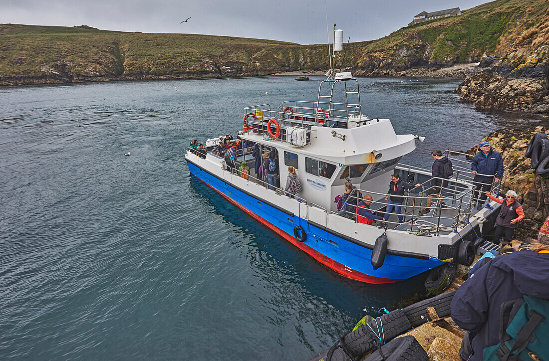 The Skomer ferry getting ready to pick up passengers on Skomer Island, off the coast of Pembrokeshire, Wales, United Kingdom, Europe