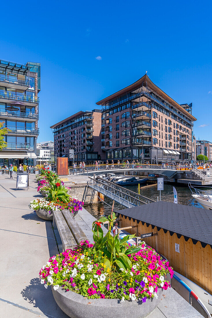 Blick auf Sommerblumen und Architektur am Wasser, Aker Brygge, Oslo, Norwegen, Skandinavien, Europa