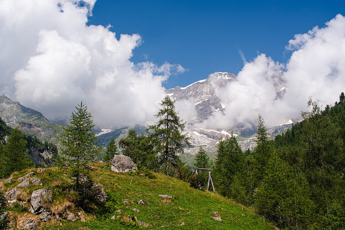 Alpenwald mit hoch aufragenden Bergen der italienischen Alpen am Monte Rosa, Alagna Valsesia, Piemont, Italien, Europa