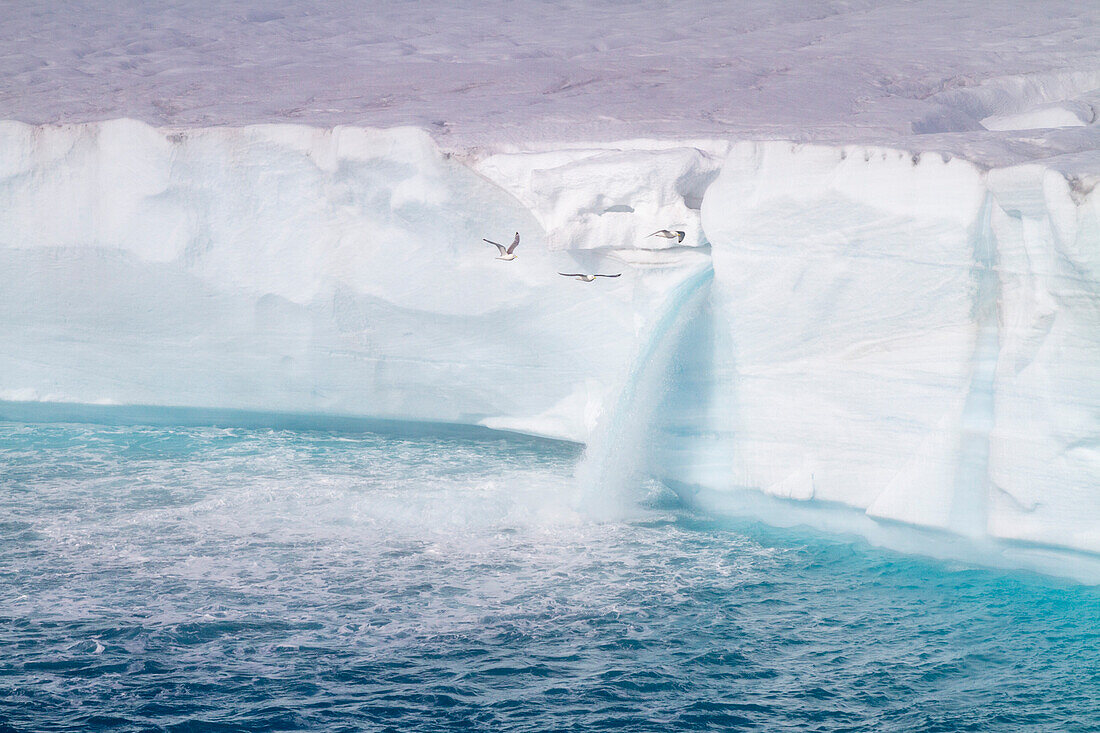 Ansichten von Austfonna, einer Eiskappe auf Nordaustlandet in der Inselgruppe Svalbard in Norwegen, Arktis, Europa