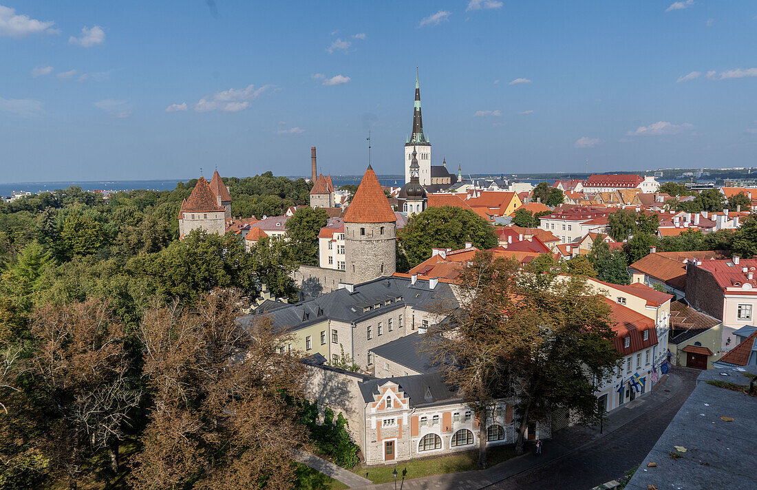 Ansichten alter historischer und traditioneller Gebäude, Altstadt, UNESCO-Weltkulturerbe, im Zentrum von Tallinn, Estland, Europa