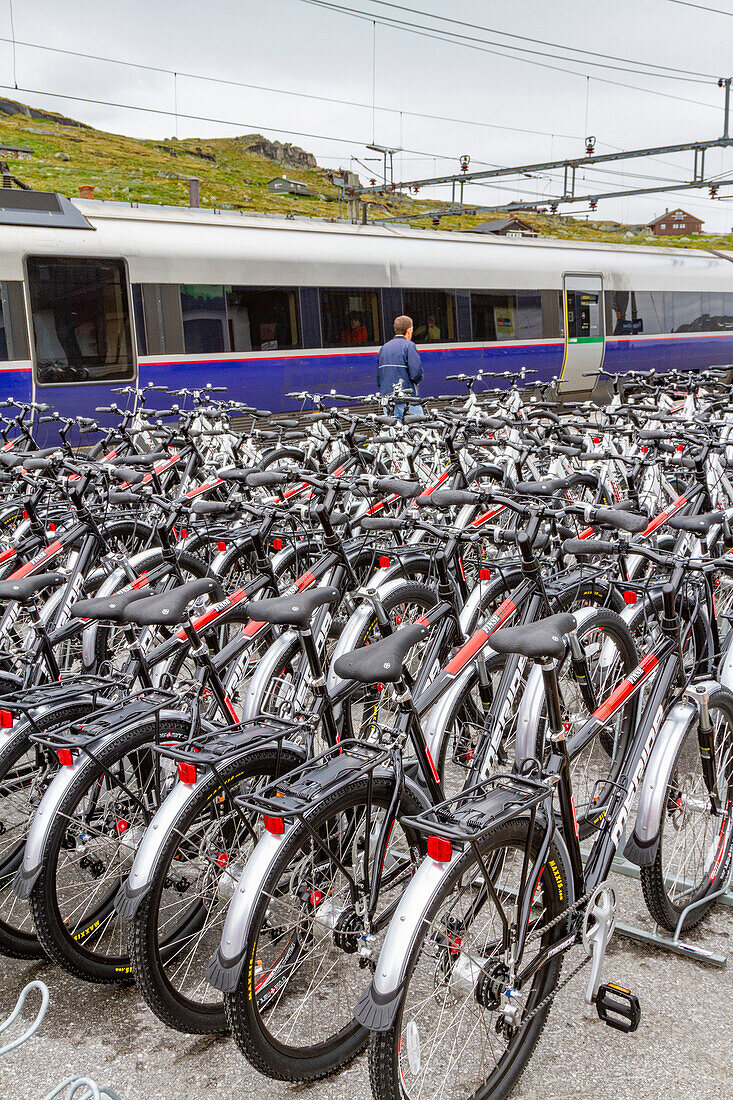 Ansichten von Leihfahrrädern auf der Strecke der Bergenbahn von Myrdal zur Stadt Flam, Norwegen, Skandinavien, Europa