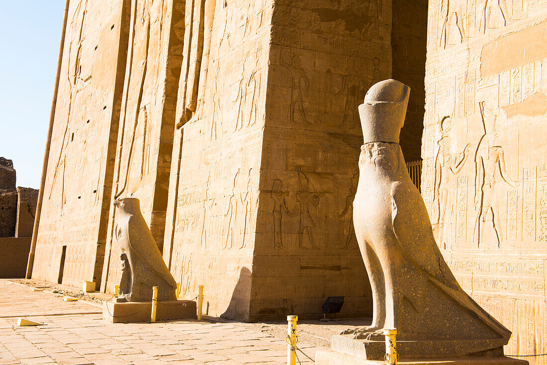 Statue of Horus beside of the first pylon, Temple of Edfu, Egypt, North Africa, Africa