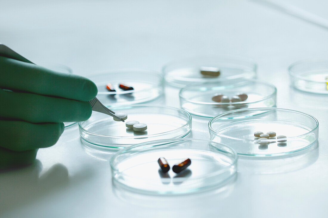 Scientist Holding Pill with Tweezers over Petri Dish