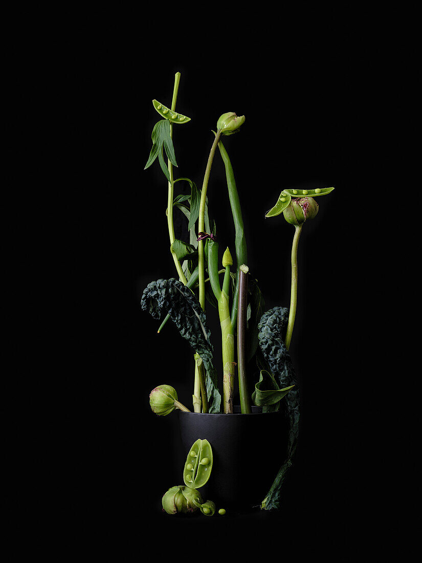 Dramatic still life arrangement green stems and vegetables in potted plant on black background