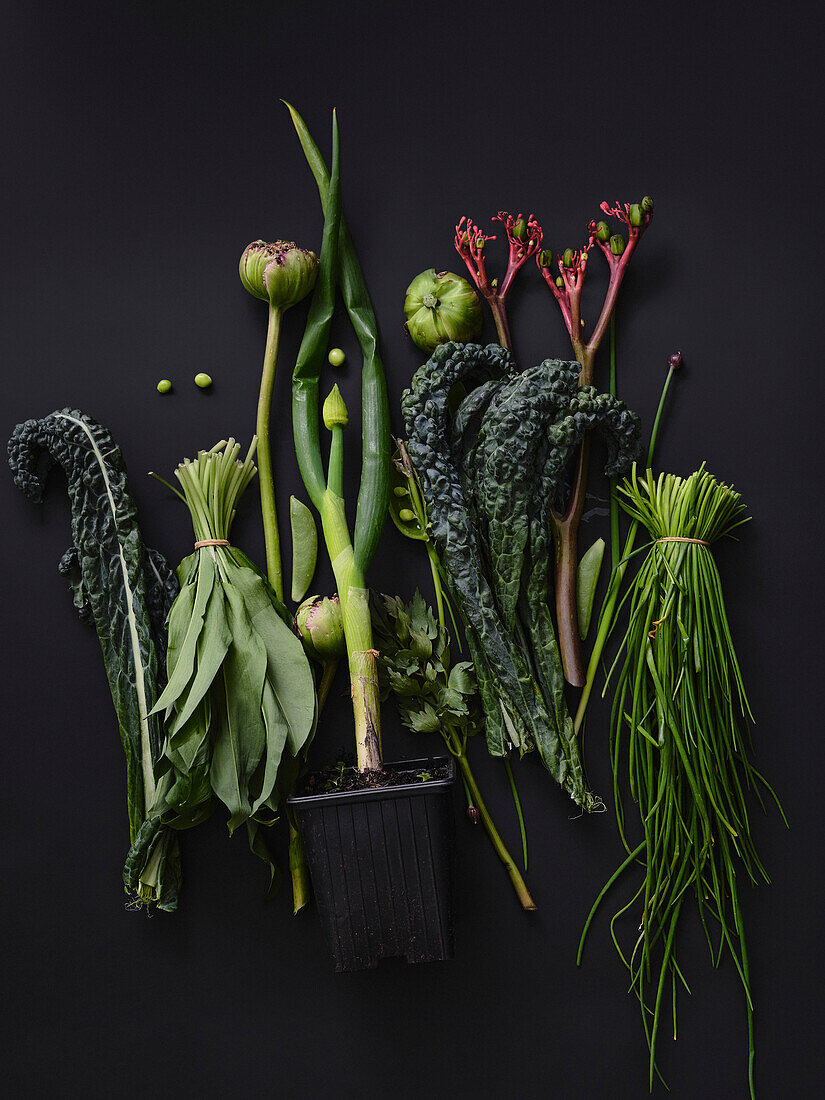 Flat lay dramatic still life arrangement of green vegetables on black background