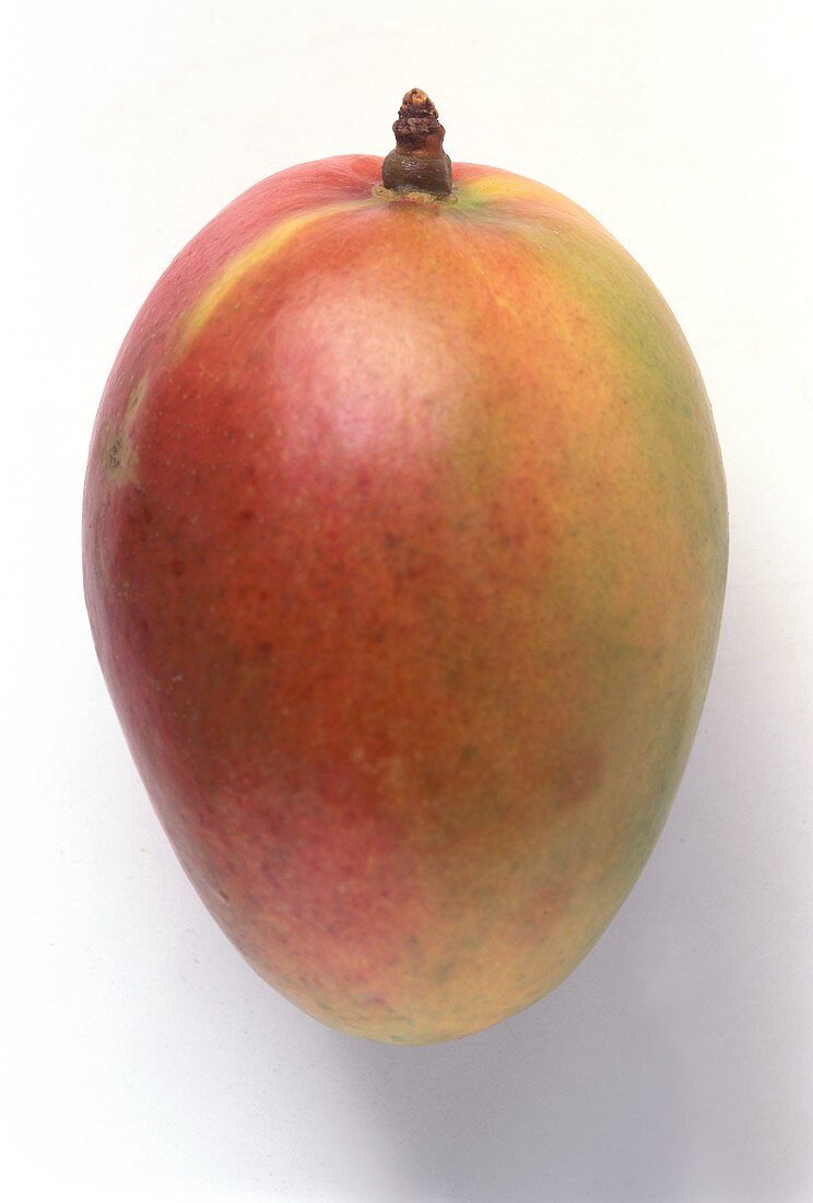 Eine Mango
