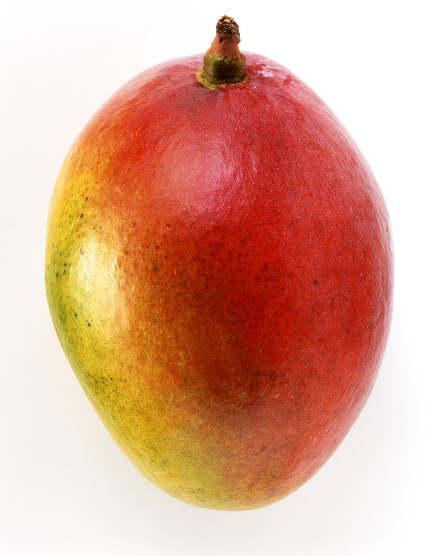 A Mango