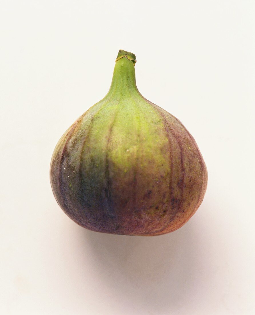 A fresh fig on white background