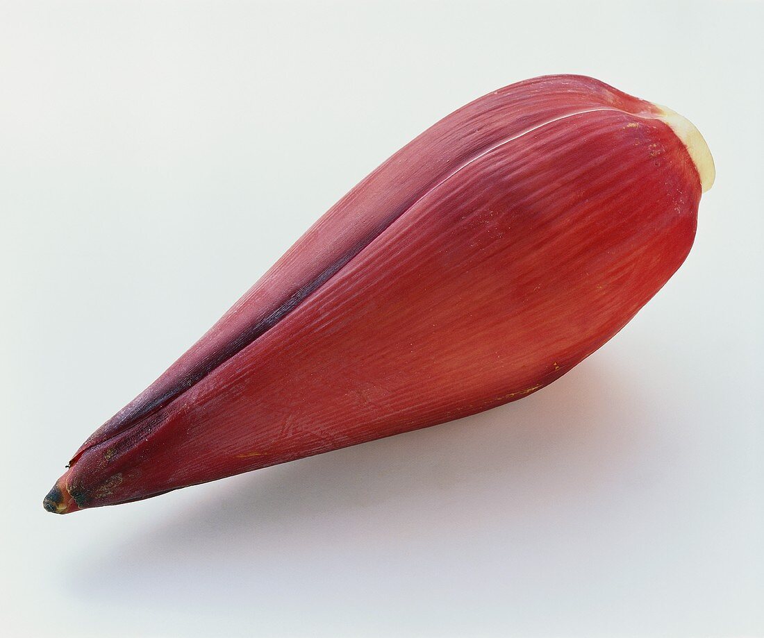 Banana flower on white background