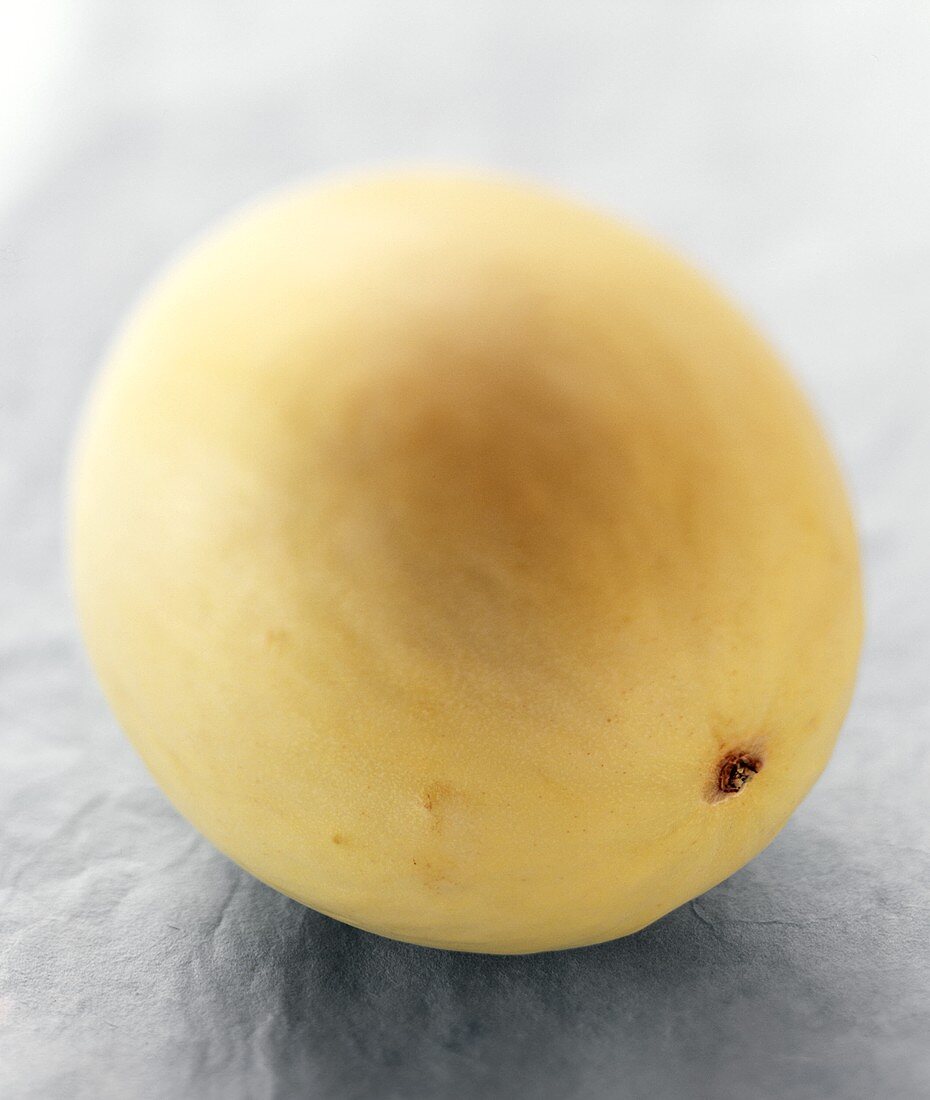 A pepino melon on pale blue background