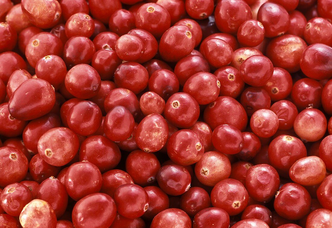 Many cranberries (filling the picture)